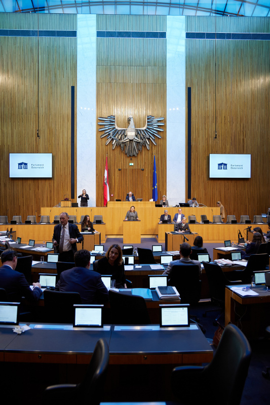 Am Rednerpult Nationalratsabgeordnete Alexandra Tanda (ÖVP)