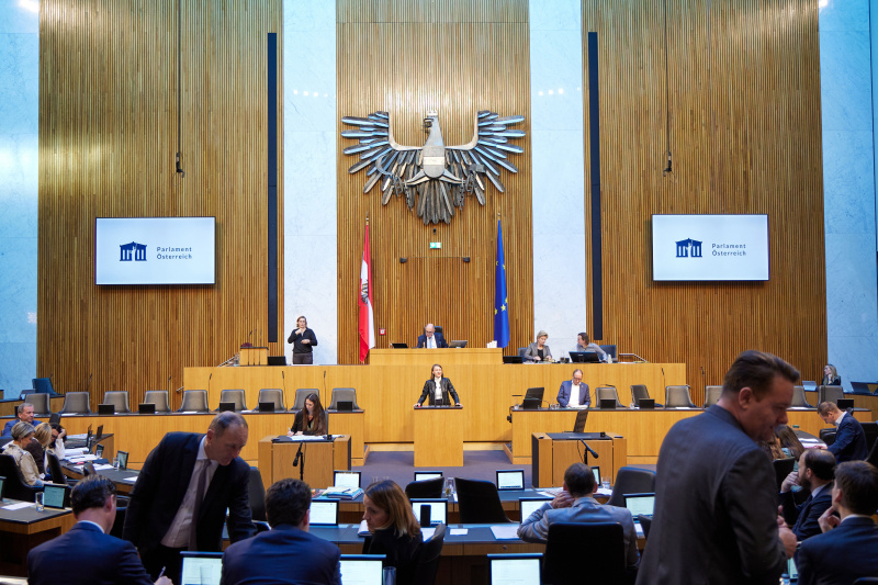 Am Rednerpult Nationalratsabgeordnete Katharina Werner (NEOS)