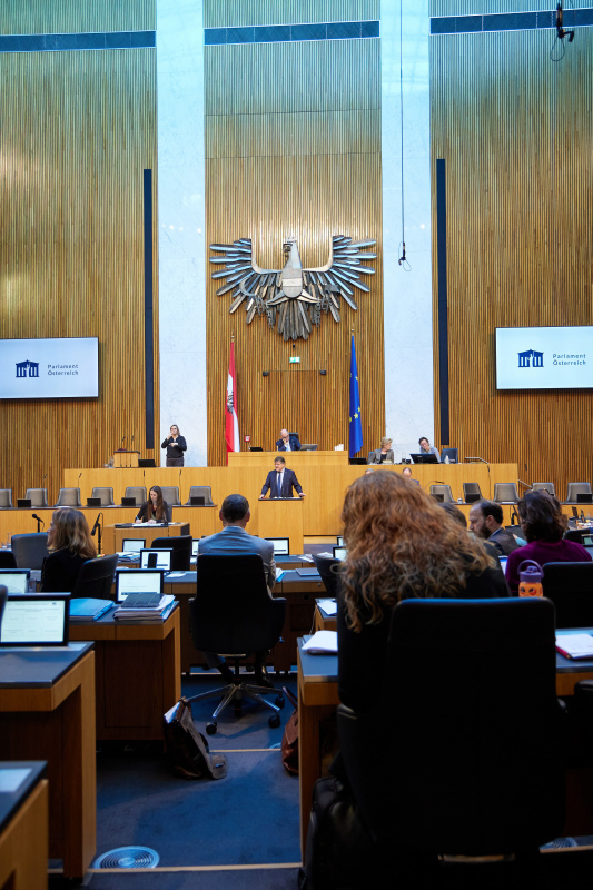 Am Rednerpult Nationalratsabgeordneter Rainer Wimmer (SPÖ)