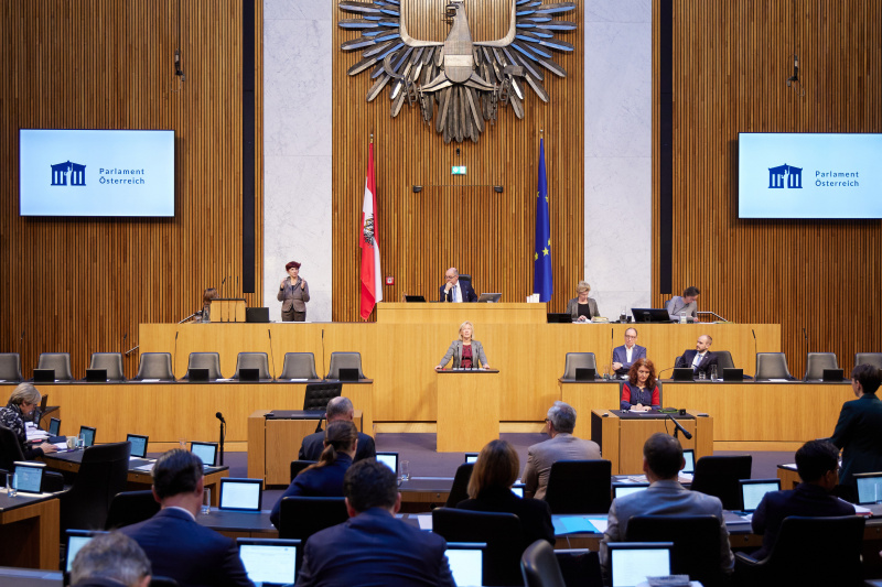 Am Rednerpult Nationalratsabgeordnete Verena Nussbaum (SPÖ)