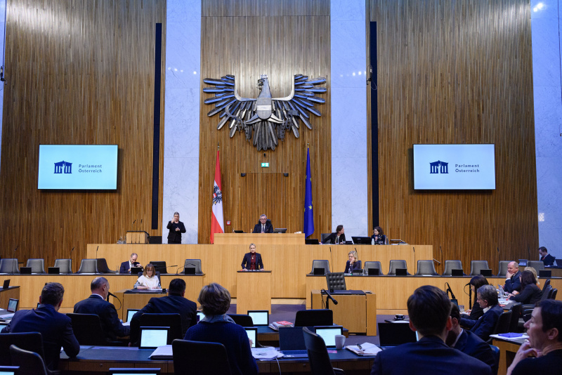 Am Rednerpult Nationalratsabgeordnete Michaela Schmidt (SPÖ)