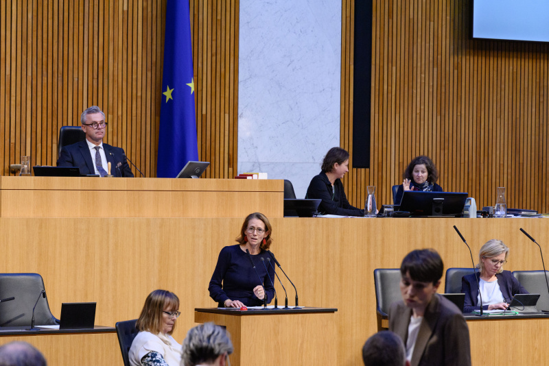 Am Rednerpult Nationalratsabgeordnete Maria Theresia Niss (ÖVP)