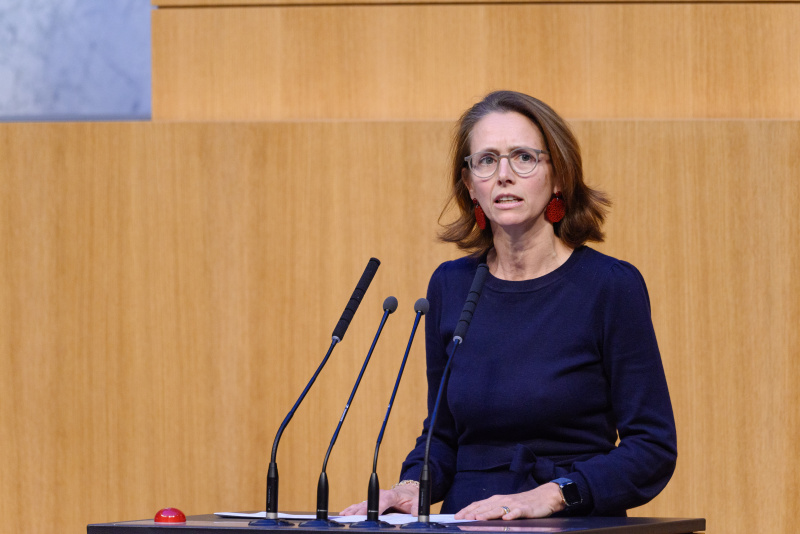 Am Rednerpult Nationalratsabgeordnete Maria Theresia Niss (ÖVP)