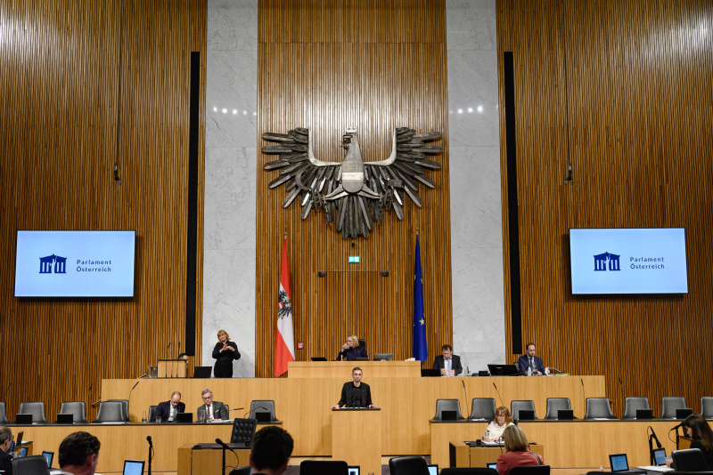 Am Rednerpult Nationalratsabgeordneter Süleyman Zorba (GRÜNE)