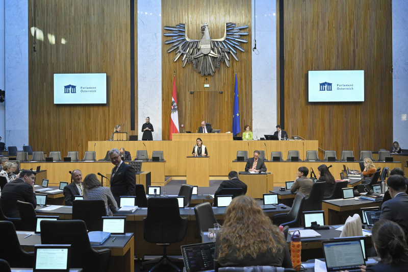 Am Rednerpult Nationalratsabgeordnete Elisabeth Pfurtscheller (ÖVP)