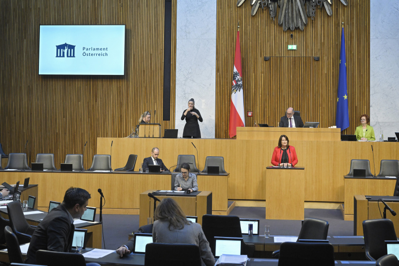 Am Rednerpult Nationalratsabgeordnete Petra Wimmer (SPÖ)