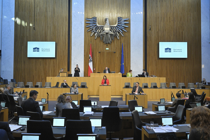 Am Rednerpult Nationalratsabgeordnete Petra Wimmer (SPÖ)