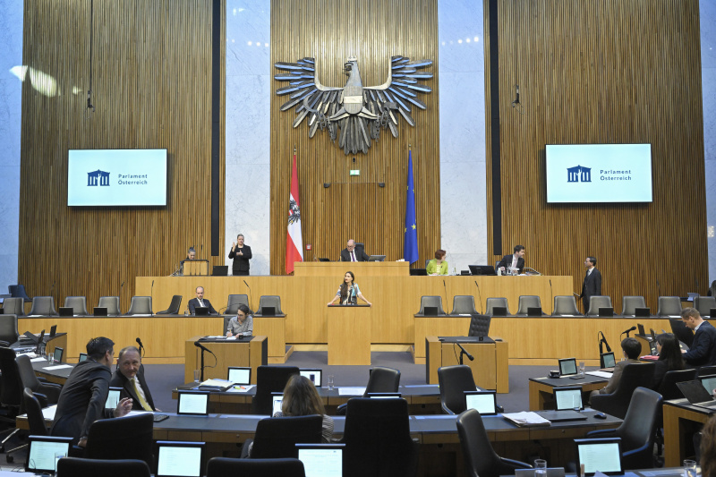 Am Rednerpult Nationalratsabgeordnete Barbara Neßler (GRÜNE)