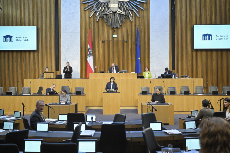 Am Rednerpult Nationalratsabgeordnete Rosa Ecker (FPÖ)
