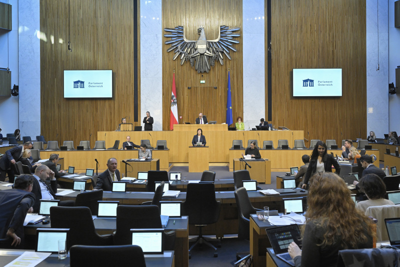 Am Rednerpult Nationalratsabgeordnete Rosa Ecker (FPÖ)