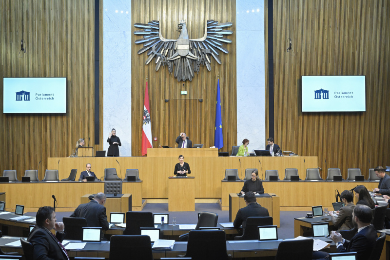 Am Rednerpult Nationalratsabgeordnete Henrike Brandstötter (NEOS)