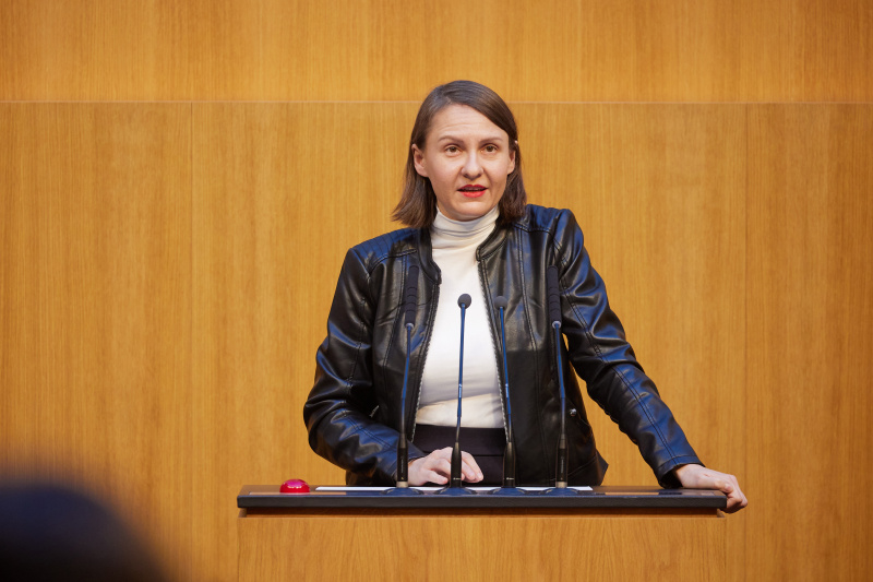 Am Rednerpult Nationalratsabgeordnete Katharina Werner (NEOS)