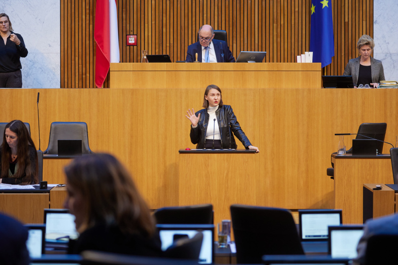 Am Rednerpult Nationalratsabgeordnete Katharina Werner (NEOS)
