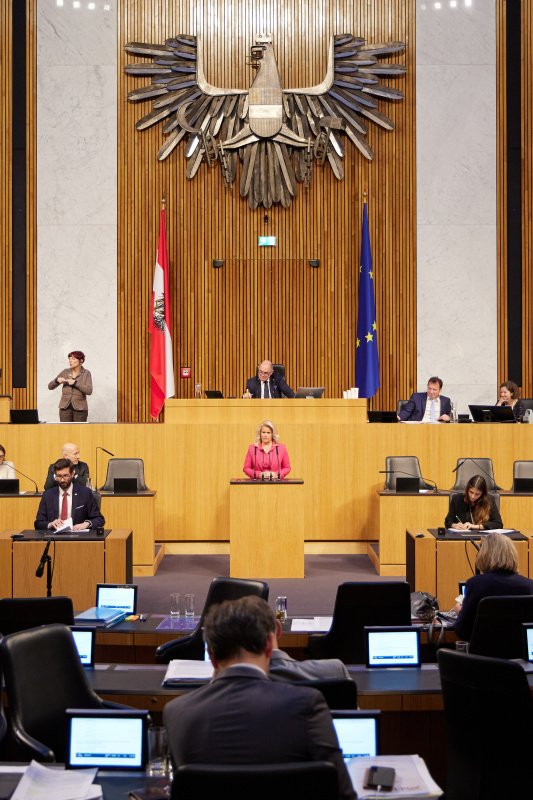 Am Rednerpult Nationalratsabgeordnete Rebecca Kirchbaumer (ÖVP)