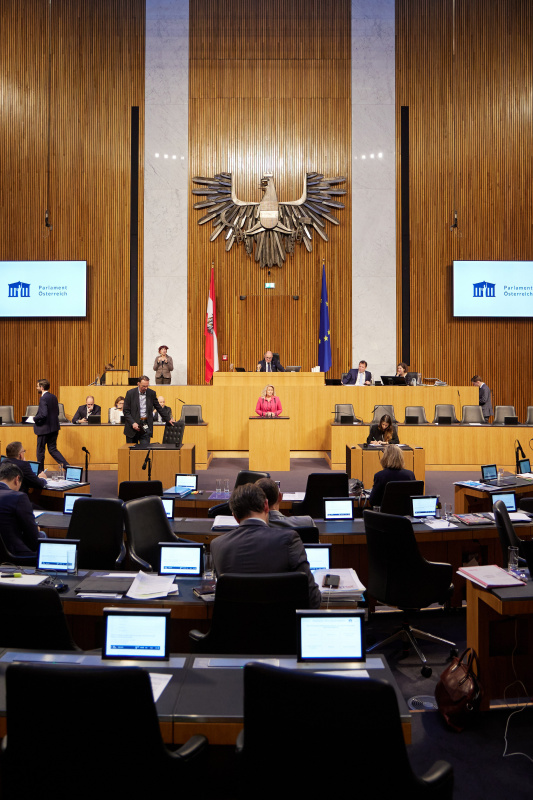 Am Rednerpult Nationalratsabgeordnete Rebecca Kirchbaumer (ÖVP)