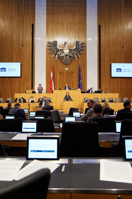 Am Rednerpult Nationalratsabgeordnete Bettina Zopf (ÖVP)