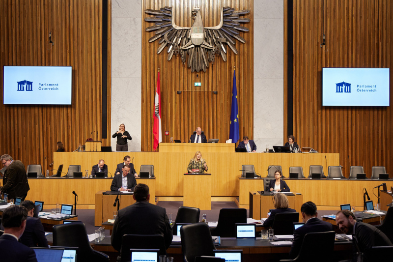 Am Rednerpult Nationalratsabgeordnete Elisabeth Feichtinger (SPÖ)