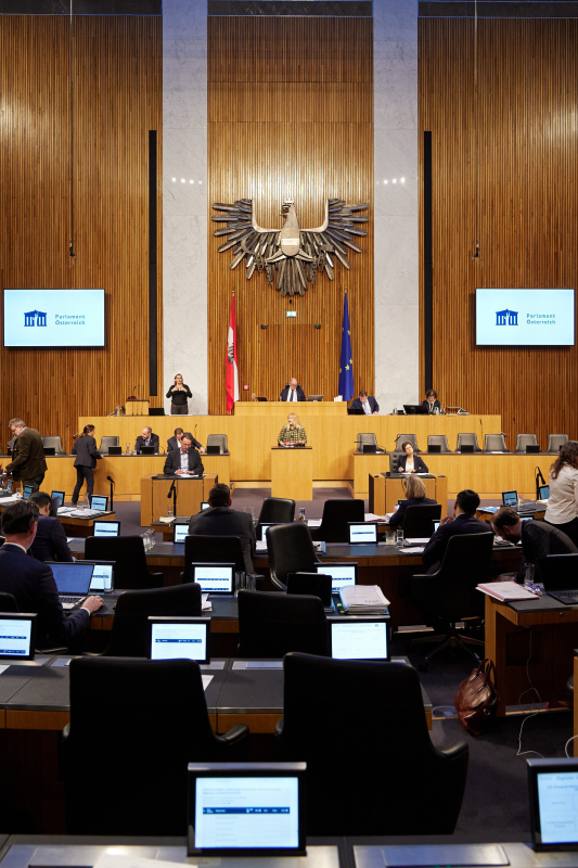 Am Rednerpult Nationalratsabgeordnete Elisabeth Feichtinger (SPÖ)