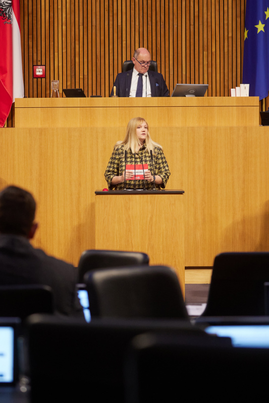 Am Rednerpult Nationalratsabgeordnete Elisabeth Feichtinger (SPÖ)