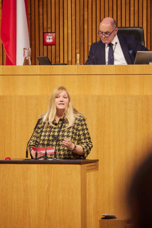 Am Rednerpult Nationalratsabgeordnete Elisabeth Feichtinger (SPÖ)