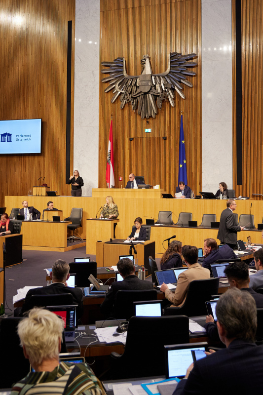 Am Rednerpult Nationalratsabgeordnete Elisabeth Feichtinger (SPÖ)