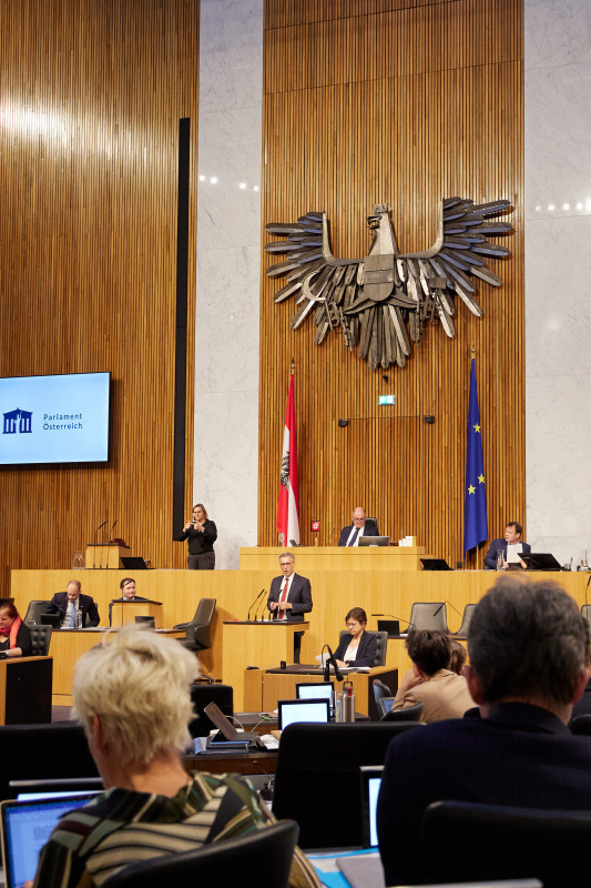 Am Rednerpult Nationalratsabgeordneter Georg Strasser (ÖVP)