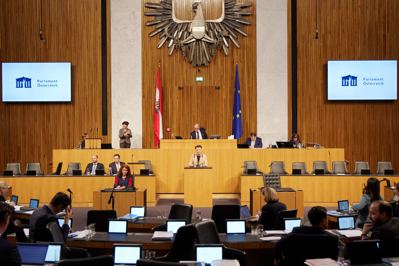 Am Rednerpult Nationalratsabgeordnete Olga Voglauer (GRÜNE)