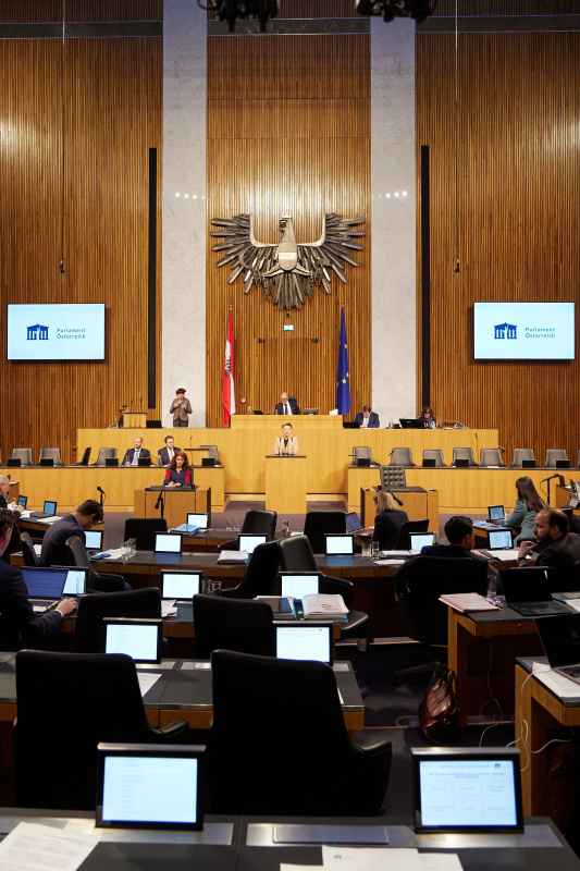 Am Rednerpult Nationalratsabgeordnete Olga Voglauer (GRÜNE)