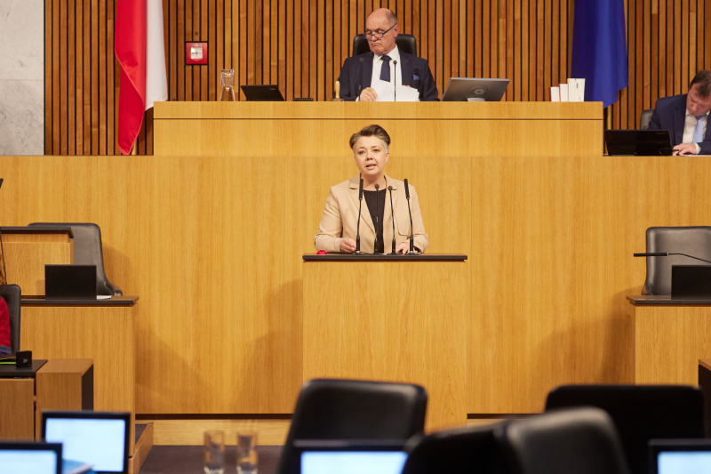 Am Rednerpult Nationalratsabgeordnete Olga Voglauer (GRÜNE)