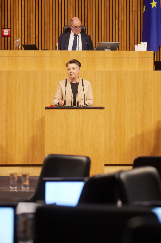 Am Rednerpult Nationalratsabgeordnete Olga Voglauer (GRÜNE)