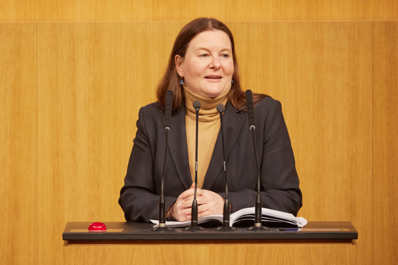 Am Rednerpult Nationalratsabgeordnete Karin Doppelbauer (NEOS)