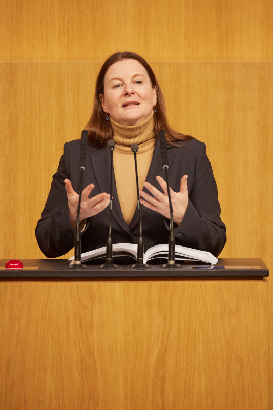 Am Rednerpult Nationalratsabgeordnete Karin Doppelbauer (NEOS)