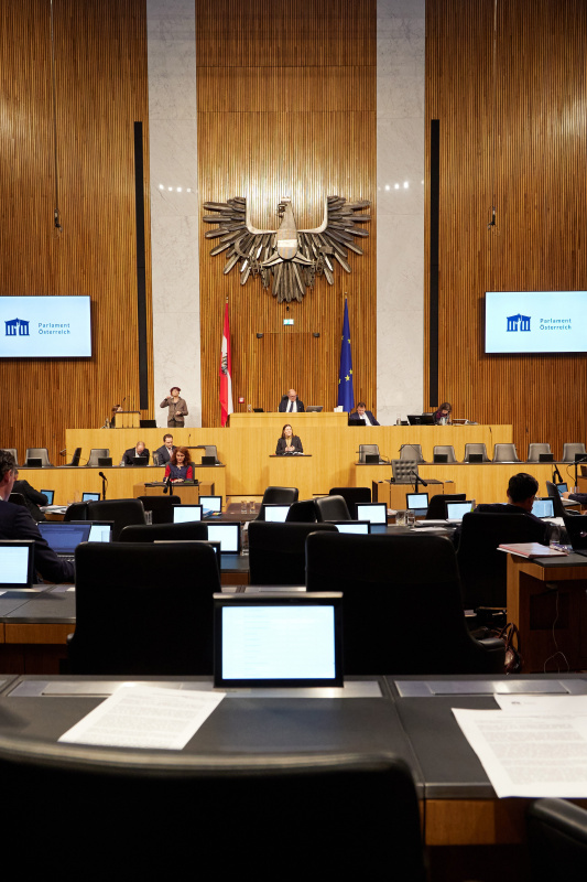 Am Rednerpult Nationalratsabgeordnete Karin Doppelbauer (NEOS)