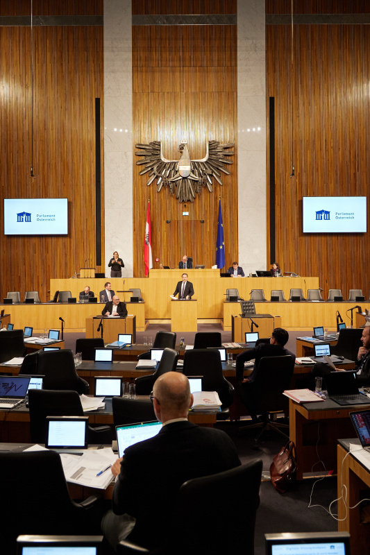 Am Rednerpult Nationalratsabgeordneter Nikolaus Berlakovich (ÖVP)