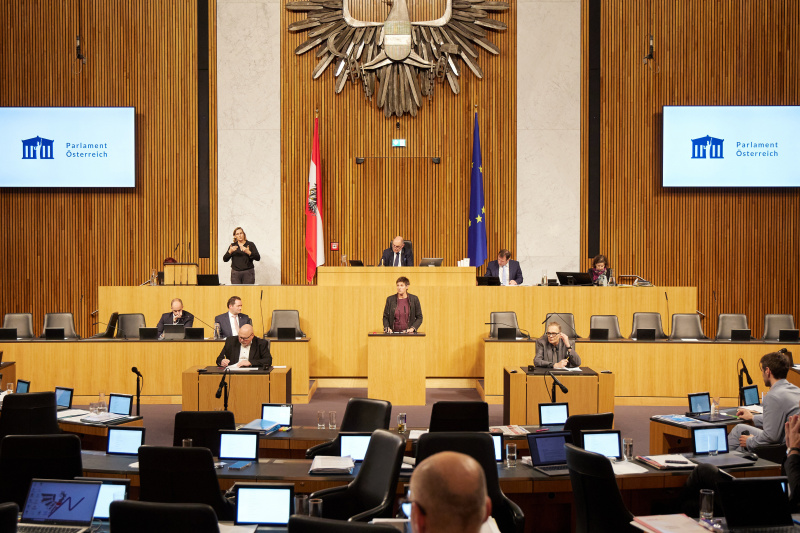 Am Rednerpult Nationalratsabgeordnete Astrid Rössler (GRÜNE)