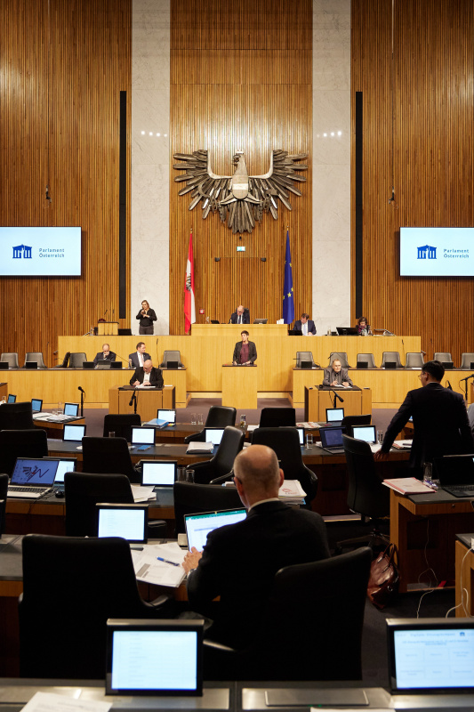 Am Rednerpult Nationalratsabgeordnete Astrid Rössler (GRÜNE)