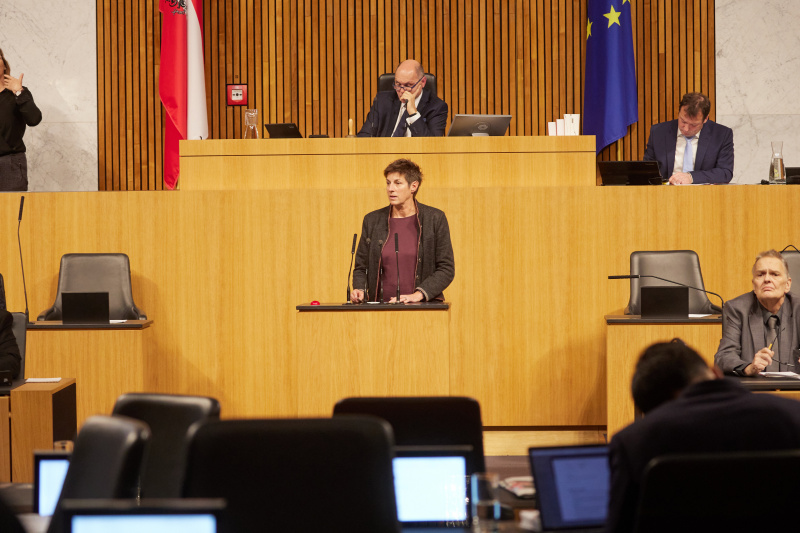 Am Rednerpult Nationalratsabgeordnete Astrid Rössler (GRÜNE)