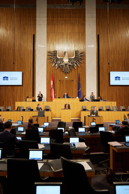 Am Rednerpult Nationalratsabgeordnete Irene Neumann-Hartberger (ÖVP)