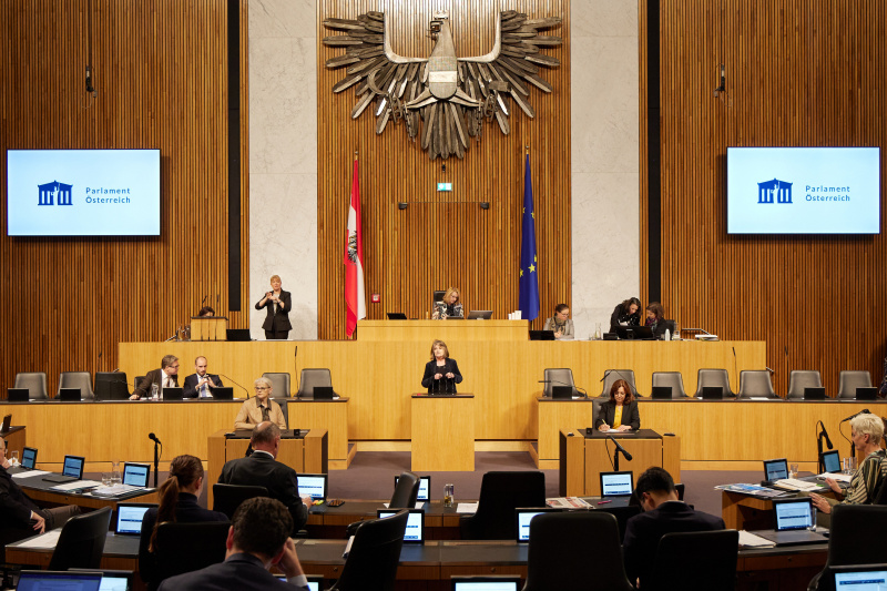 Am Rednerpult Nationalratsabgeordnete Andrea Kuntzl (SPÖ)