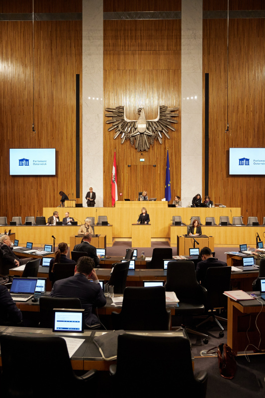 Am Rednerpult Nationalratsabgeordnete Andrea Kuntzl (SPÖ)