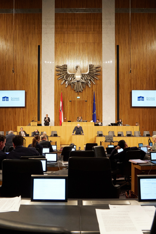 Am Rednerpult Nationalratsabgeordneter Martin Graf (FPÖ)