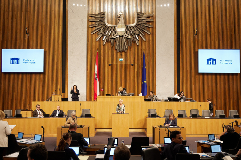 Am Rednerpult Nationalratsabgeordnete Sibylle Hamann (GRÜNE)