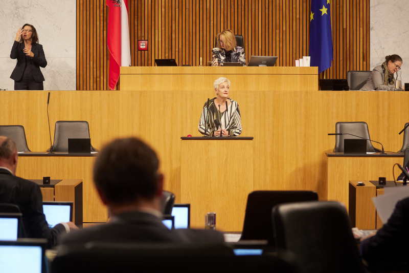 Am Rednerpult Nationalratsabgeordnete Sibylle Hamann (GRÜNE)