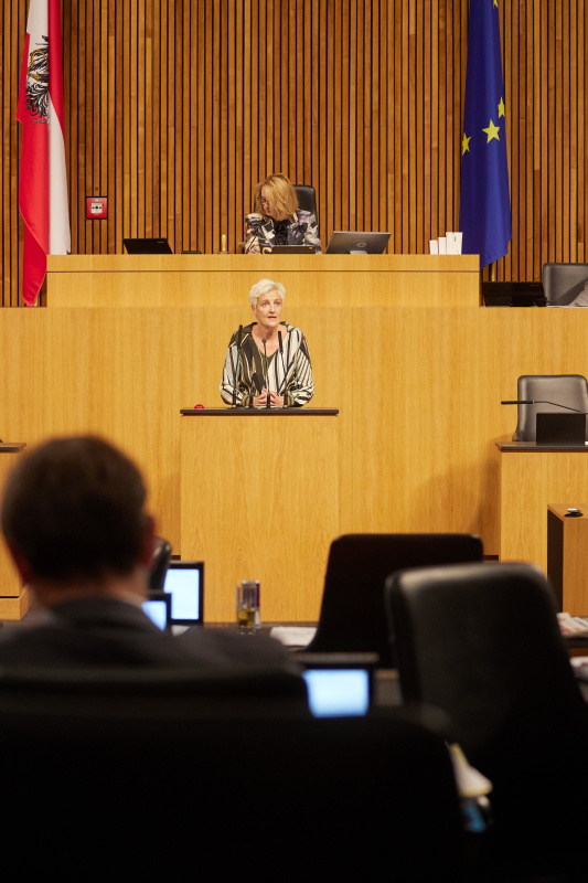 Am Rednerpult Nationalratsabgeordnete Sibylle Hamann (GRÜNE)