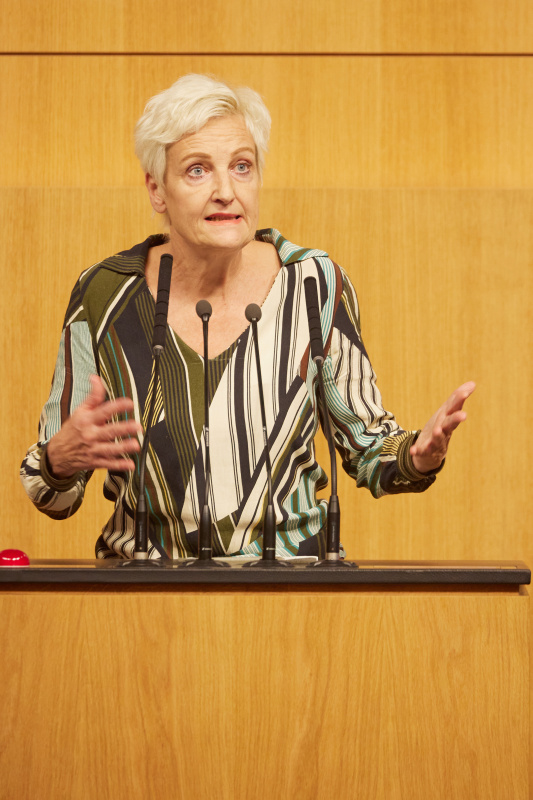 Am Rednerpult Nationalratsabgeordnete Sibylle Hamann (GRÜNE)