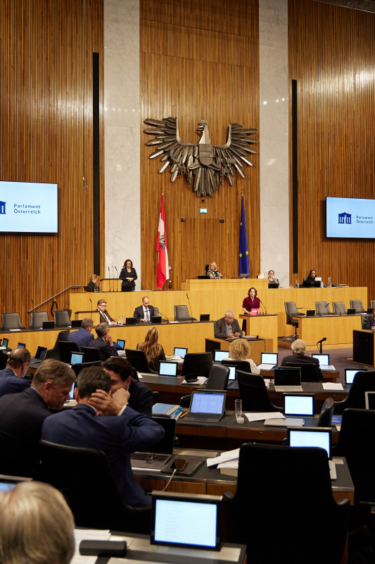 Am Rednerpult Nationalratsabgeordnete Martina Künsberg Sarre (NEOS)