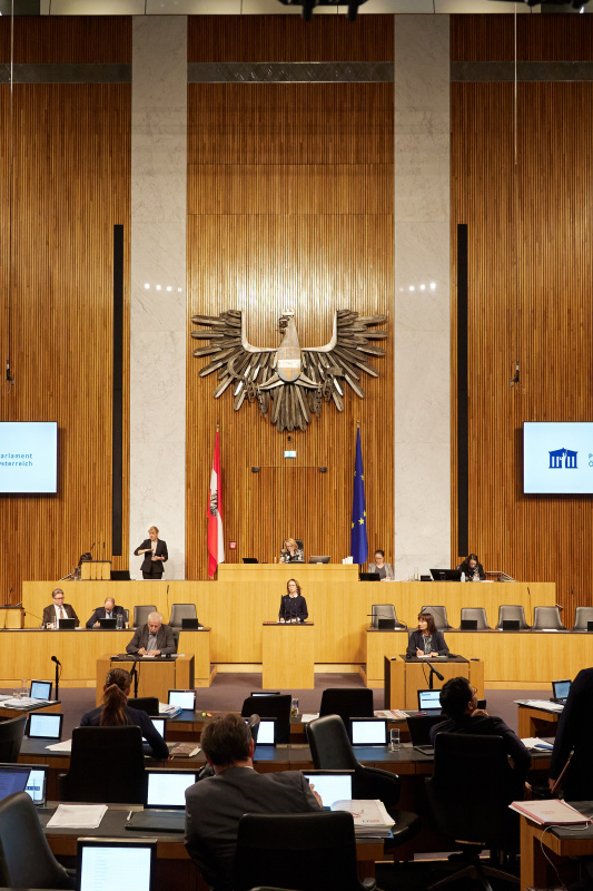 Am Rednerpult Nationalratsabgeordnete Maria Theresia Niss (ÖVP)