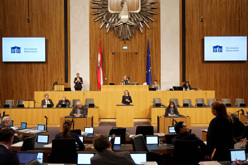 Am Rednerpult Nationalratsabgeordnete Maria Theresia Niss (ÖVP)