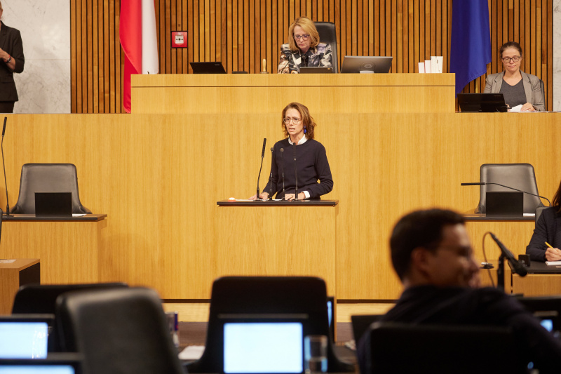 Am Rednerpult Nationalratsabgeordnete Maria Theresia Niss (ÖVP)