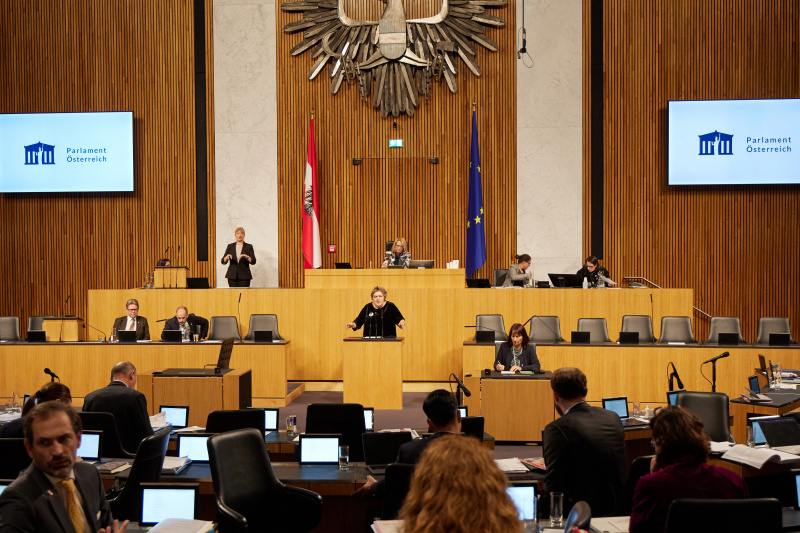 Am Rednerpult Nationalratsabgeordnete Eva Blimlinger (GRÜNE)